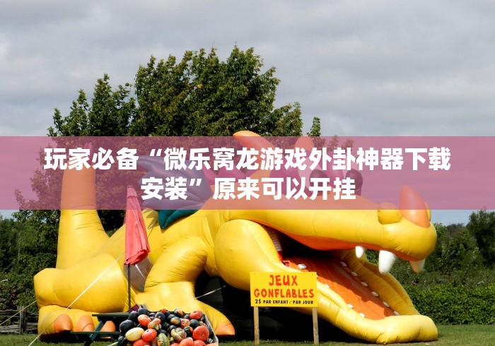 玩家必备“微乐窝龙游戏外卦神器下载安装”原来可以开挂