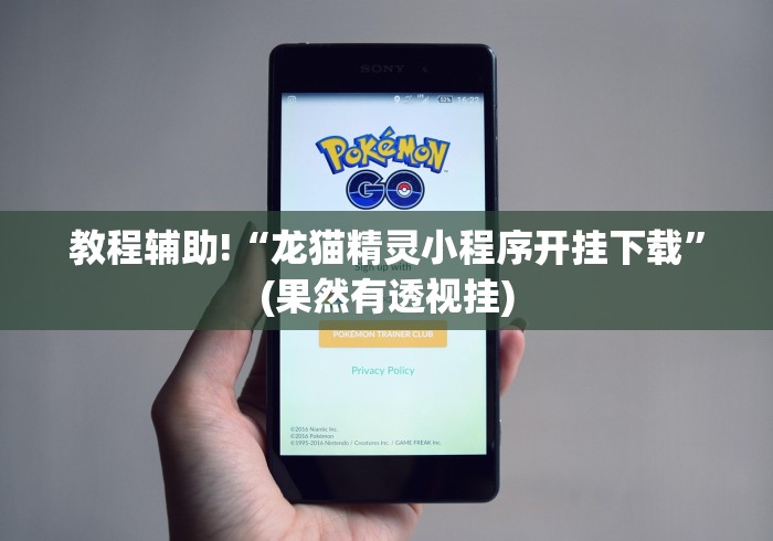 教程辅助!“龙猫精灵小程序开挂下载”(果然有透视挂)