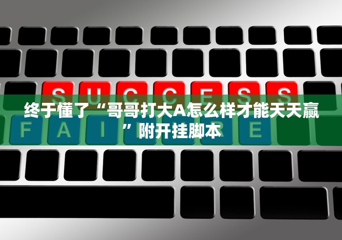 终于懂了“哥哥打大A怎么样才能天天赢”附开挂脚本