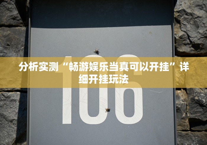 分析实测“畅游娱乐当真可以开挂”详细开挂玩法