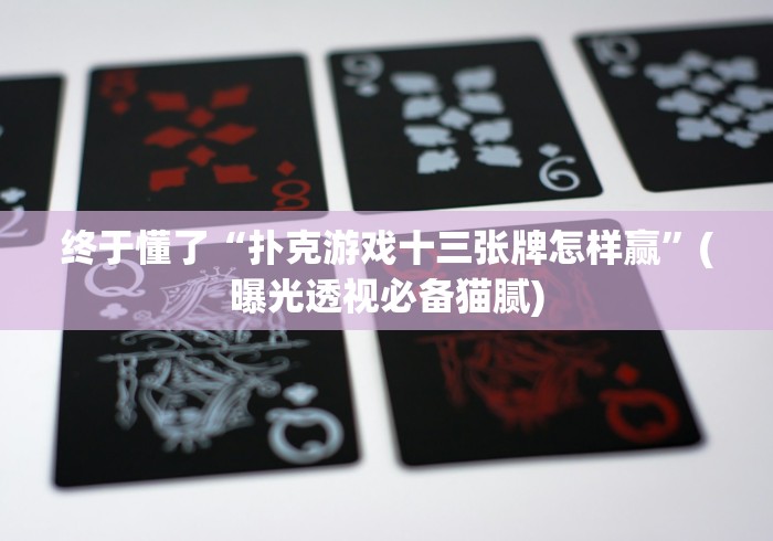 终于懂了“扑克游戏十三张牌怎样赢”(曝光透视必备猫腻)