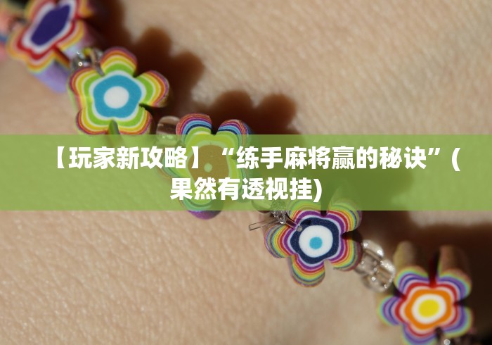 【玩家新攻略】“练手麻将赢的秘诀”(果然有透视挂)