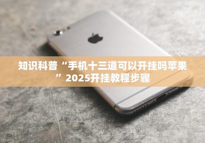 知识科普“手机十三道可以开挂吗苹果”2025开挂教程步骤
