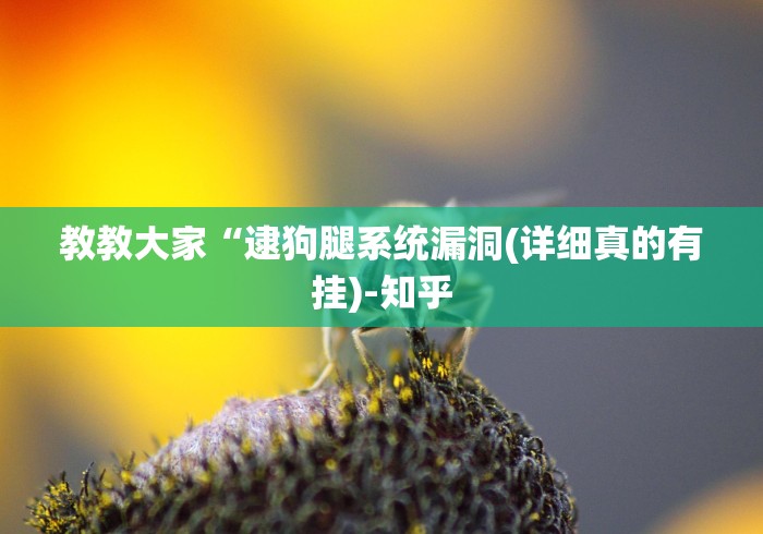 教教大家“逮狗腿系统漏洞(详细真的有挂)-知乎