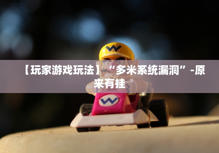 【玩家游戏玩法】“多米系统漏洞”-原来有挂