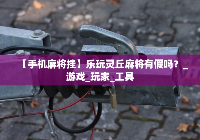 【手机麻将挂】乐玩灵丘麻将有假吗？_游戏_玩家_工具