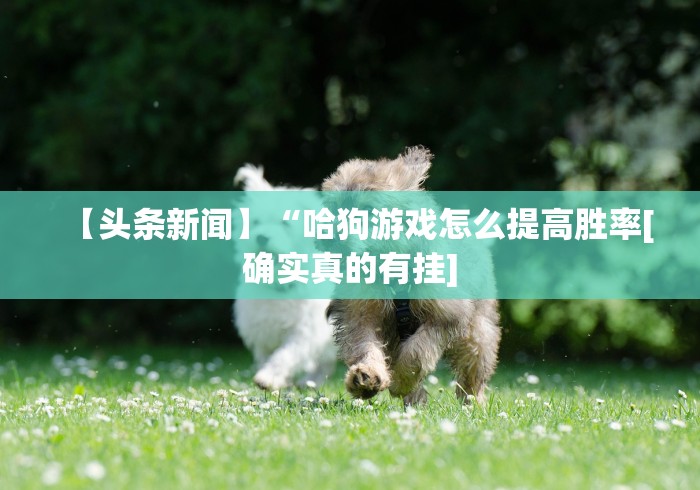【头条新闻】“哈狗游戏怎么提高胜率[确实真的有挂]