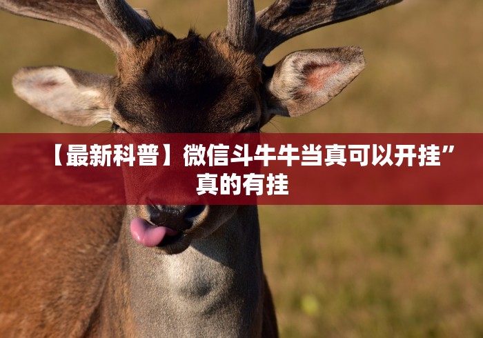 【最新科普】微信斗牛牛当真可以开挂”真的有挂