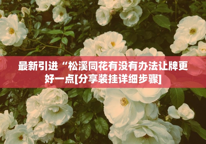 最新引进“松溪同花有没有办法让牌更好一点[分享装挂详细步骤]