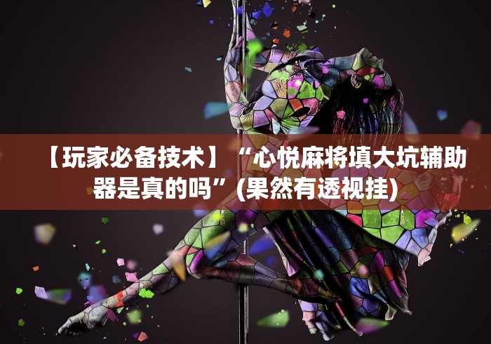 【玩家必备技术】“心悦麻将填大坑辅助器是真的吗”(果然有透视挂)