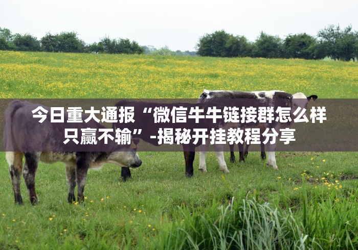 今日重大通报“微信牛牛链接群怎么样只赢不输”-揭秘开挂教程分享