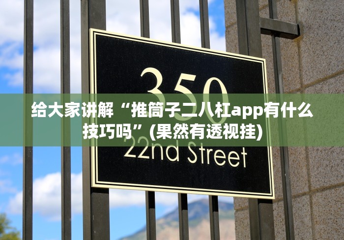 给大家讲解“推筒子二八杠app有什么技巧吗”(果然有透视挂)