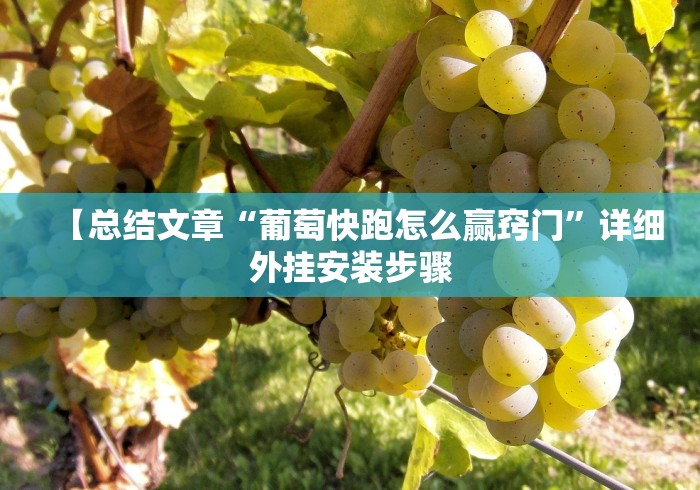 【总结文章“葡萄快跑怎么赢窍门”详细外挂安装步骤