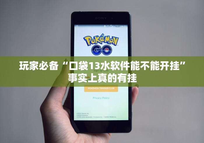 玩家必备“口袋13水软件能不能开挂”事实上真的有挂