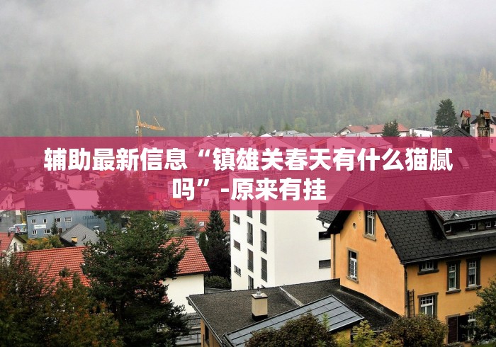辅助最新信息“镇雄关春天有什么猫腻吗”-原来有挂 辅助最新信息“镇雄关春天有什么猫腻吗”-原来有挂