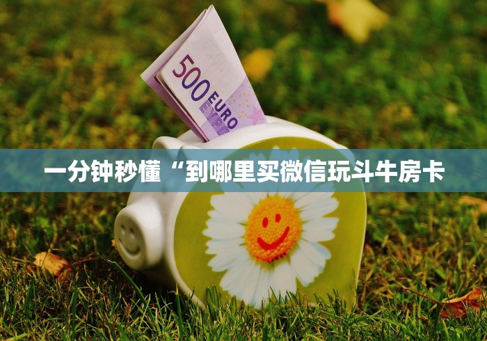 一分钟秒懂“到哪里买微信玩斗牛房卡