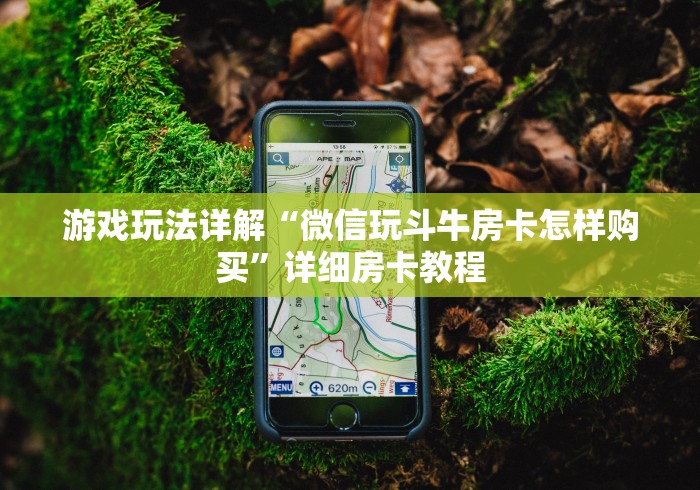游戏玩法详解“微信玩斗牛房卡怎样购买”详细房卡教程