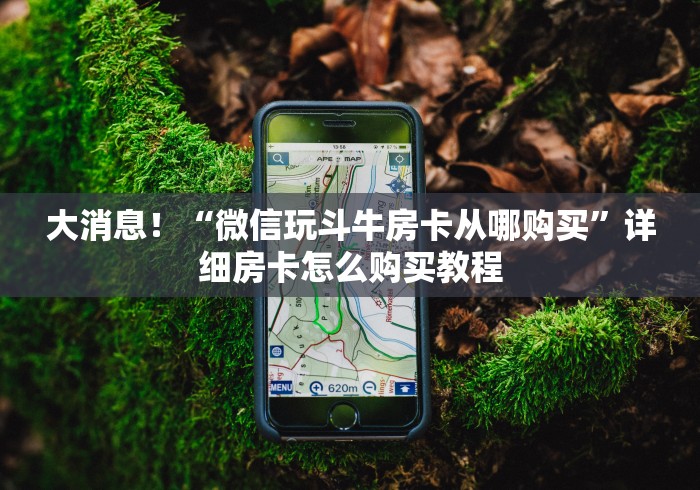 大消息！“微信玩斗牛房卡从哪购买”详细房卡怎么购买教程