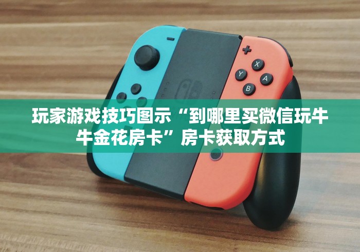 玩家游戏技巧图示“到哪里买微信玩牛牛金花房卡”房卡获取方式