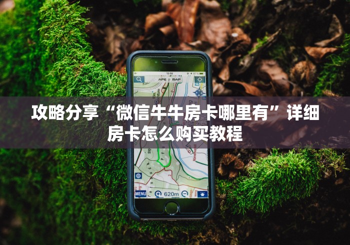 攻略分享“微信牛牛房卡哪里有”详细房卡怎么购买教程 攻略分享“微信牛牛房卡哪里有”详细房卡怎么购买教程