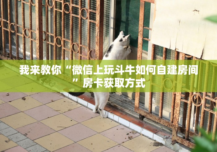 我来教你“微信上玩斗牛如何自建房间”房卡获取方式