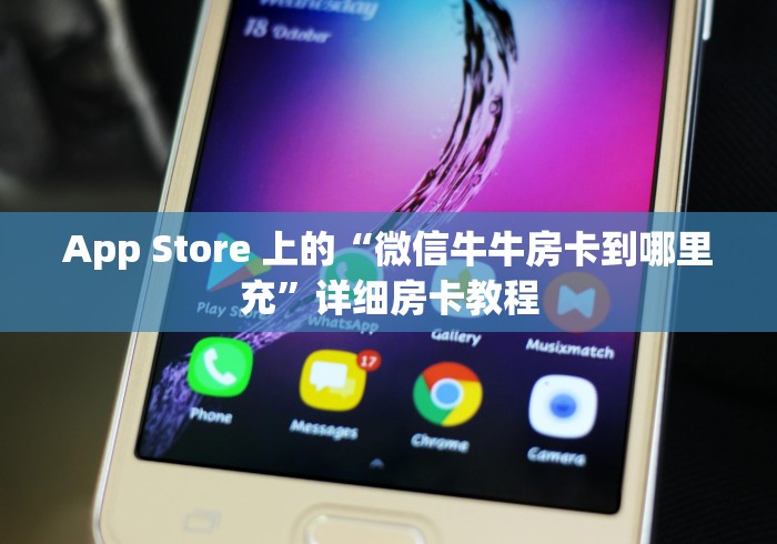 App Store 上的“微信牛牛房卡到哪里充”详细房卡教程