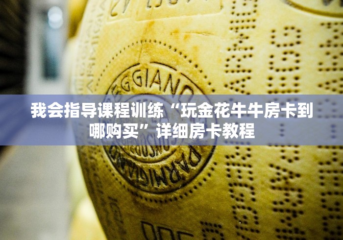我会指导课程训练“玩金花牛牛房卡到哪购买”详细房卡教程