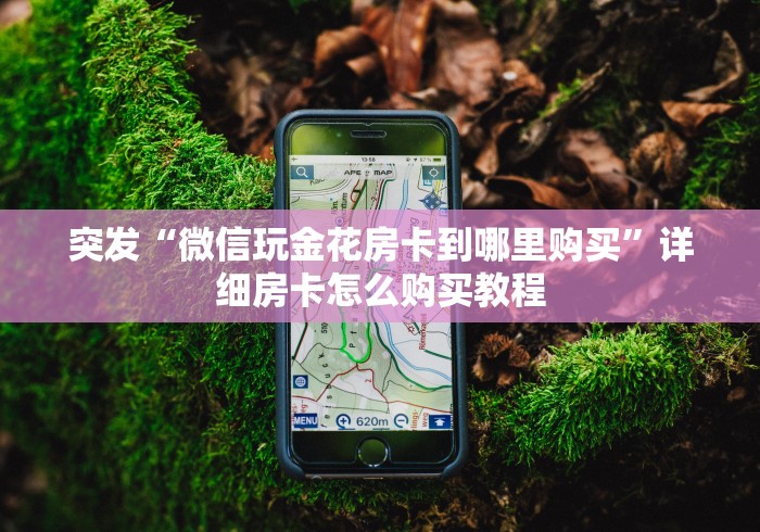 突发“微信玩金花房卡到哪里购买”详细房卡怎么购买教程