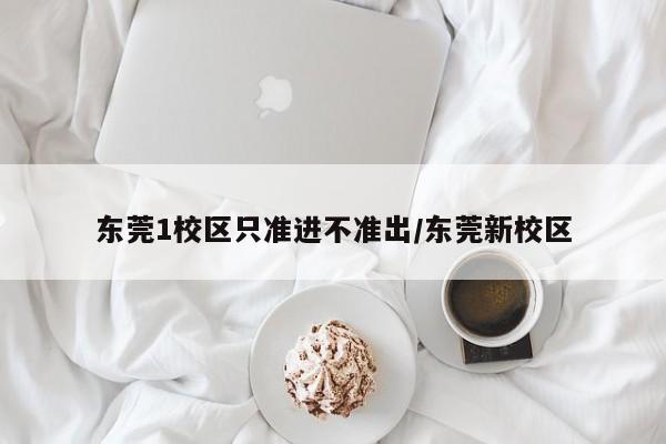 东莞1校区只准进不准出/东莞新校区